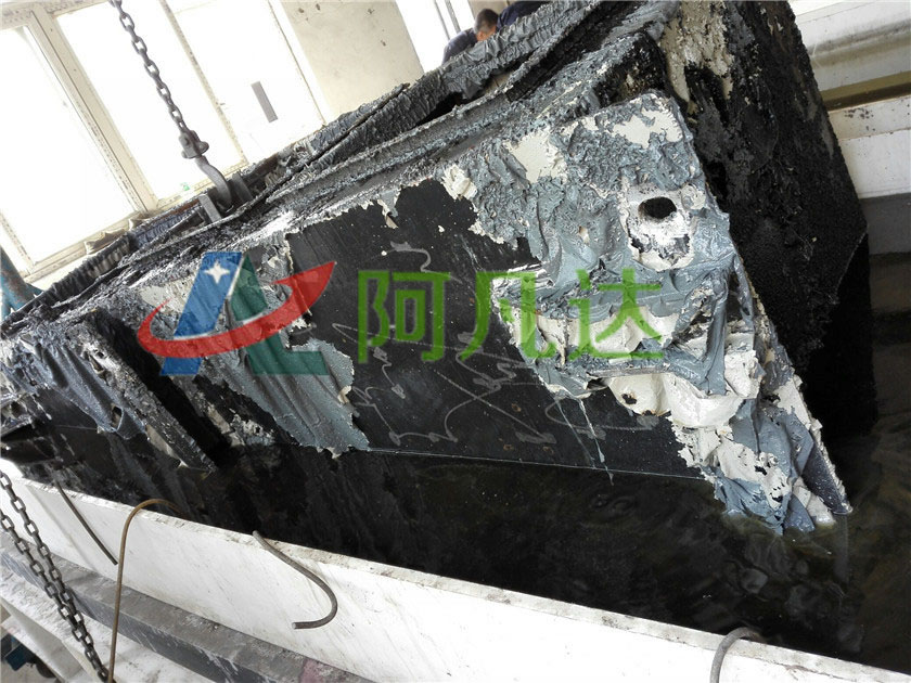 成人抖音91视频现场应用图片