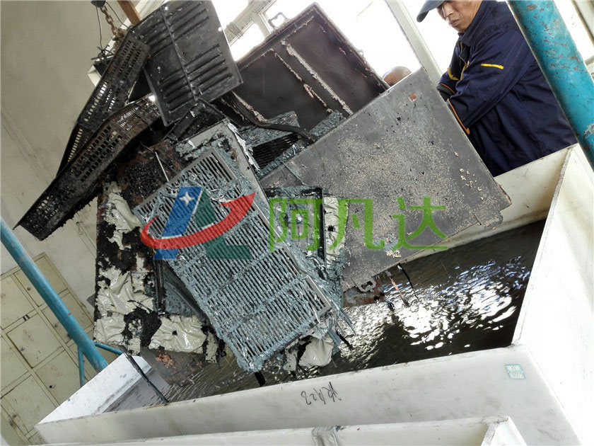 成人抖音91视频现场应用图片